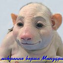 ���� �������, �����-���������, 54 ���� - ��������� 30 ������ 2014 � ������ ������� �����-��� ����� ������� ������ʻ