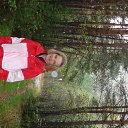 ���� ����, ����������� - ��������� 31 ������� 2013 � ������ ���� ����������