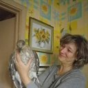 ���� �����, �����-���������, 65 ��� - ��������� 25 ������� 2014 � ������ ���� ����������