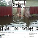 ���� ����, ��������� - ��������� 31 ������ 2014 � ������ ������ ��������
