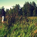  Nata Li Legata,  -  12  2013   ,  )