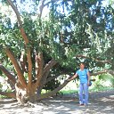 ������������ ���� �� ������� ����� 2013�