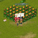 ���� ~������������~, ����������� - ��������� 7 �������� 2013 � ������ �Tropikania�