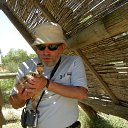 ������� ������������ ���������. ����� �����! �����.