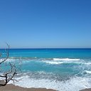 ���� �����, ������, 66 ��� - ��������� 16 �������� 2013 � ������ ���� ����������