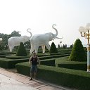  , -, 50  -  11  2014    2013