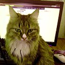 ���� �����, ������� - ��������� 13 ����� 2014 � ������ ������ ��������