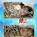 ���� ����, ����-�����������, 41 ��� - ��������� 3 ������� 2014 � ������ ���� ������