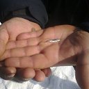 ���� �����, �������, 47 ��� - ��������� 3 ������� 2013