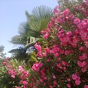 ���� �������, ������, 52 ���� - ��������� 27 ������� 2013 � ������ ���� ����������