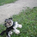 ����� �������. �� ������� ���� ����������