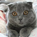 ���� ������, ��� - ��������� 13 ������� 2014 � ������ ������ ��������