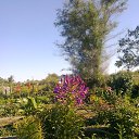 ���� ������, ���������, 59 ��� - ��������� 5 ������ 2014