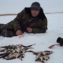 ���� ����, �������, 58 ��� - ��������� 11 ����� 2014 � ������ ���� ����������