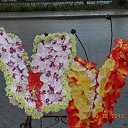 ���� Nika, ������, 56 ��� - ��������� 22 �������� 2013 � ������ ���� ����������