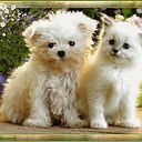  ,  -  29  2013      -2