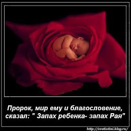 ����� ������, ������, 43 ����