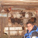 ���� �����, �����, 60 ��� - ��������� 25 ������� 2013 � ������ ���� ����������