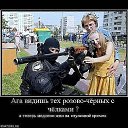  , , 43  -  4  2013   »