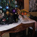 ���� Nastia, �������, 31 ��� - ��������� 6 ������ 2014