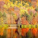  Loseff Yurij, , 63  -  30  2013    