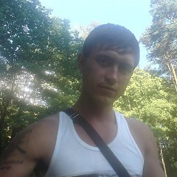 ���������, ������, 41 ���