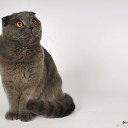 ���� ����������-������ ������ �� ������� ���� ����������