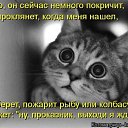 ���� �����, ��������� - ��������� 16 ������ 2013 � ������ ��������