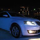 ���� �����, ������, 43 ���� - ��������� 24 ������� 2013 � ������ ���� ����������