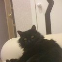 ���� Mikhail, �����������, 63 ���� - ��������� 12 �������� 2013 � ������ ���� ����������