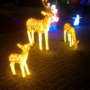 ���� C�����, ������ - ��������� 5 ������� 2014 � ������ ���� ����������