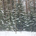  ,  -  6  2014    2014