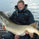 ���� ��������, ����������, 53 ���� - ��������� 7 ������� 2013 � ������ ���� ����������