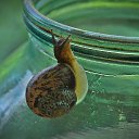 ���� ������, ���� - ��������� 31 ������� 2013 � ������ ���� ��������������..�