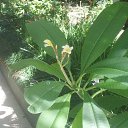 ���� �����, ���������, 64 ���� - ��������� 16 ������� 2013 � ������ ������� 2013 ���.�