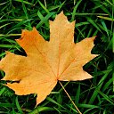 ���� �������, ������, 61 ��� - ��������� 11 ������ 2013 � ������ ���� ����������