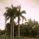 ���� �������, ������, 36 ��� - ��������� 20 �������� 2013 � ������ ���� ����������