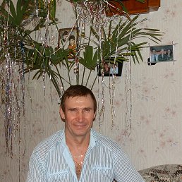 ��������, ������, 69 ���