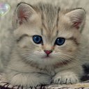 ���� ����, ������, 61 ��� - ��������� 30 ������� 2013 � ������ ���� ����������
