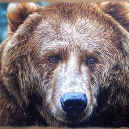 ���� Harry, �����������, 37 ��� - ��������� 23 ������ 2014