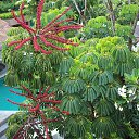 �������. 2013�. �� ������� ������ ��������