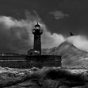 ���� ��������, ���������, 54 ���� - ��������� 3 ������� 2014 � ������ ���� ����������