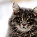  , , 71  -  6  2014   ,  ...!