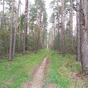 
 ,  ?
 ,  ?
 ,   ,
  ,  . ( )       2013