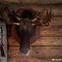 ���� ������, ���������� �����, 46 ��� - ��������� 9 ������� 2013 � ������ ���� ����������