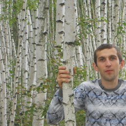 ���������, ����������, 40 ���