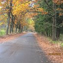 ���� �������, ����, 33 ���� - ��������� 15 �������� 2013 � ������ ���� ����������