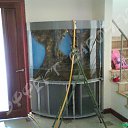 ���� �����, ������-��-����, 41 ��� - ��������� 27 ������� 2013 � ������ ���� ������....�