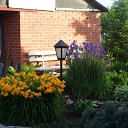 ���� ���������, ���������, 66 ��� - ��������� 13 ������� 2013 � ������ ���� ����