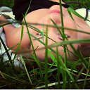 ���� �����, ������, 39 ��� - ��������� 7 ������� 2013 � ������ ���� ����������